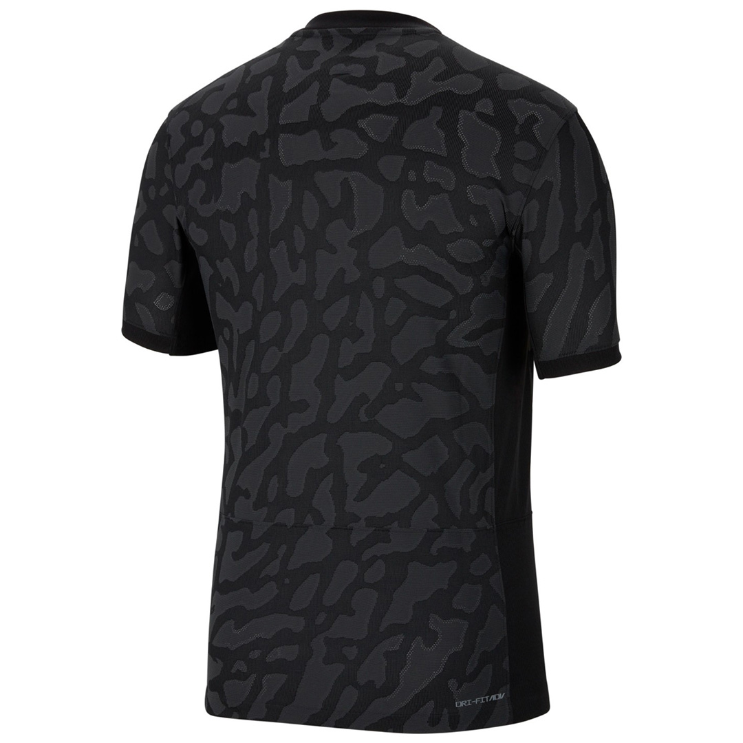 Paris Saint-Germain 2023/24 Stadium Third Men's Jordan Dri-FIT